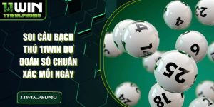 Soi Cầu Bạch Thủ 11WIN